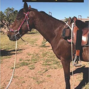 Morgan Horses: My Horse Show Journal