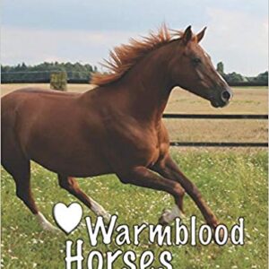 Warmblood Horses: My Horse Show Journal